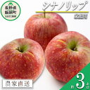 【ふるさと納税】 りんご シナノリップ 家庭用 3kg 丸山