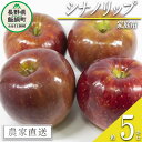 【ふるさと納税】 りんご シナノリップ 家庭用 5kg 渡辺農園 沖縄県への配送不可 令和7年度収穫分 エコファーマー認定 減農薬栽培 長野県 飯綱町 〔 信州 果物 フルーツ リンゴ 林檎 長野 13000円 予約 農家直送 〕発送時期:2025年8月中旬〜2025年8月下旬{**}(4)