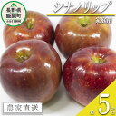 13位! 口コミ数「2件」評価「5」 りんご シナノリップ 家庭用 5kg 渡辺農園 沖縄県への配送不可 令和6年度収穫分 エコファーマー認定 減農薬栽培 長野県 飯綱町 〔 ･･･ 