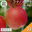 【ふるさと納税】 りんご シナノスイート 秀 ～ 特秀 10kg 渡辺農園 令和6年度収穫分 エコファーマー認定 減農薬栽培 長野県 飯綱町 〔 信州 果物 フルーツ リンゴ 林檎 長野 26000円 予約 農…