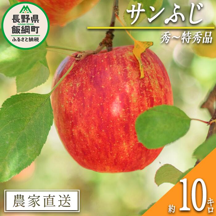 りんご サンふじ 秀 〜 特秀 10kg 渡辺農園 令和6年度収穫分 エコファーマー認定 減農薬栽培 長野県 飯綱町 〔 信州 果物 フルーツ リンゴ 林檎 長野28000円 予約 農家直送 〕発送時期:2024年12月上旬〜2025年1月中旬{***}