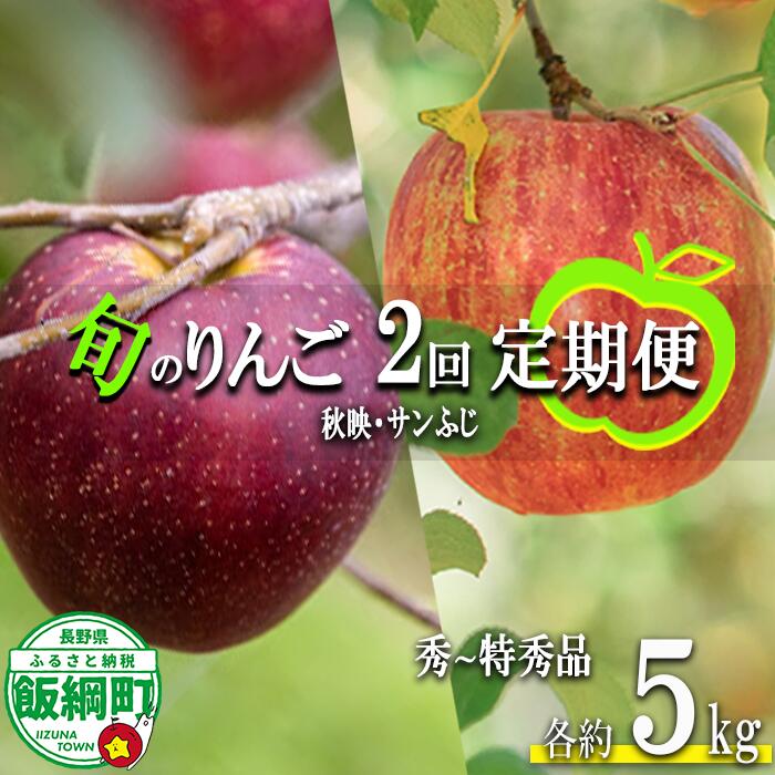 季節のりんご [ 定期便 ] 旬の2品種 5kg × 2回 秀〜特秀 渡辺農園 沖縄県への配送不可 〔 果物 フルーツ 林檎 長野 予約 農家直送 贈答用 5キロ 定期便 〕[令和7年度収穫分] 発送:2025年10月上旬〜
