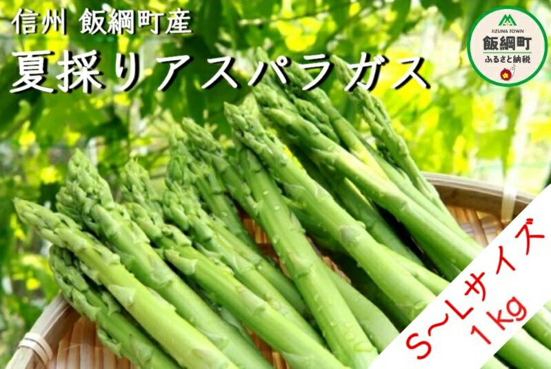 ふるさと納税 生で食べられるアスパラ 2kg 1296288 Mサイズ グリーンアスパラ 北海道富良野産 【96%OFF!】 北海道富良野産 ふるさと納税 生で食べられるアスパラ 2kg 1296288 Mサイズ グリーンアスパラ 北海道富良野産 【96%OFF!】 北海道富良野産