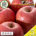 【ふるさと納税】 りんご サンふじ 家庭用 5kg 沖縄県へ