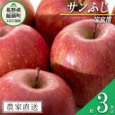 【ふるさと納税】 りんご サンふじ 家庭用 3kg 沖縄県へ