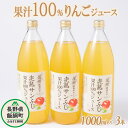 【ふるさと納税】 りんごジュース 1000mL × 3本 沖