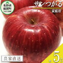 8位! 口コミ数「0件」評価「0」りんご つがる 5kg 家庭用 静谷りんご園 沖縄へは配送不可 〔 果物 フルーツ 林檎 長野 予約 農家直送 5キロ 12000円 〕【令･･･ 