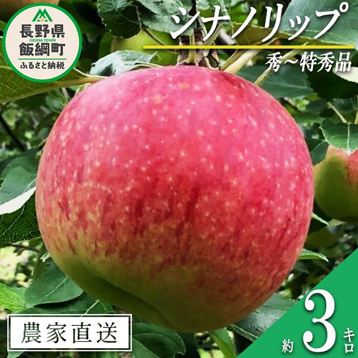 りんご シナノリップ 秀 〜 特秀 3kg サイズおまかせ 井澤農園 沖縄県への配送不可 令和6年度収穫分 エコファーマー認定 長野県 飯綱町 〔 信州 果物 フルーツ リンゴ 林檎 長野 16000円 予約 農家直送 〕発送時期:2024年8月中旬〜2024年9月上旬 {***}