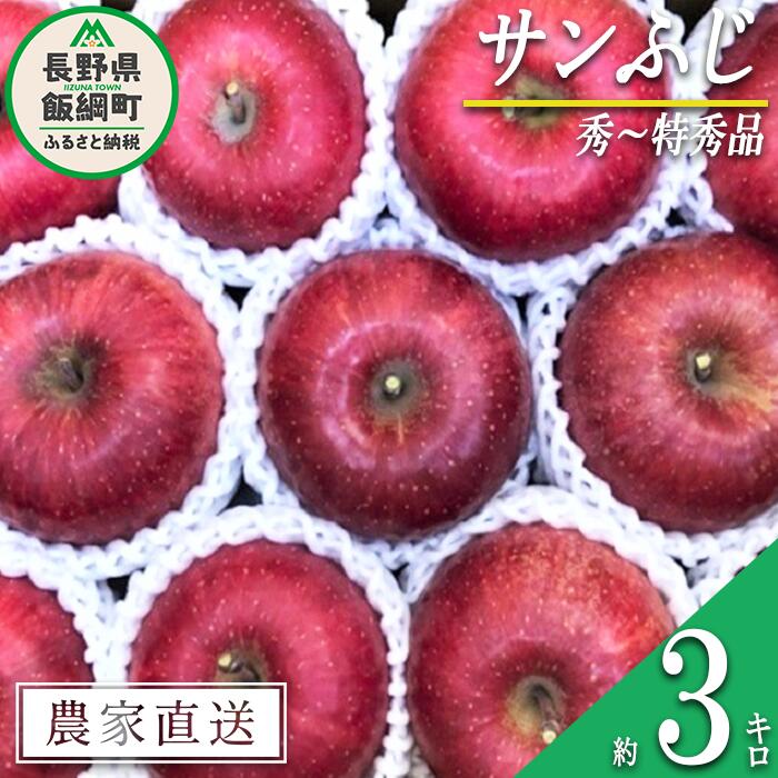 りんご 蜜入り サンふじ 秀 〜 特秀 3kg サイズおまかせ 井澤農園 沖縄県への配送不可 令和6年度収穫分 エコファーマー認定 長野県 飯綱町 〔 信州 果物 フルーツ リンゴ 林檎 長野 16000円 予約 農家直送 〕発送時期:2024年11月中旬〜2025年1月下旬 {***}