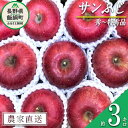 【ふるさと納税】 りんご 蜜入り サンふじ 秀 ～ 特秀 3kg サイズおまかせ 井澤農園 沖縄県への配送不可 令和6年度収穫分 エコファーマー認定 長野県 飯綱町 〔 信州 果物 フルーツ リンゴ 林檎 長野 16000円 予約 農家直送 〕発送時期：2024年11月中旬～2025年1月下旬 {***} その1