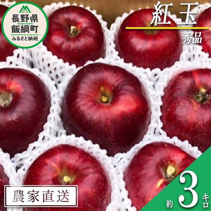 りんご 紅玉 秀 〜 特秀 3kg サイズおまかせ 井澤農園 沖縄県への配送不可 令和6年度収穫分 エコファーマー認定 長野県 飯綱町 〔 信州 果物 フルーツ リンゴ 林檎 長野 15000円 予約 農家直送 〕発送時期:2024年10月上旬〜2024年11月中旬 {***}