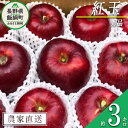 【ふるさと納税】 りんご 紅玉 秀 ～ 特秀 3kg サイズ
