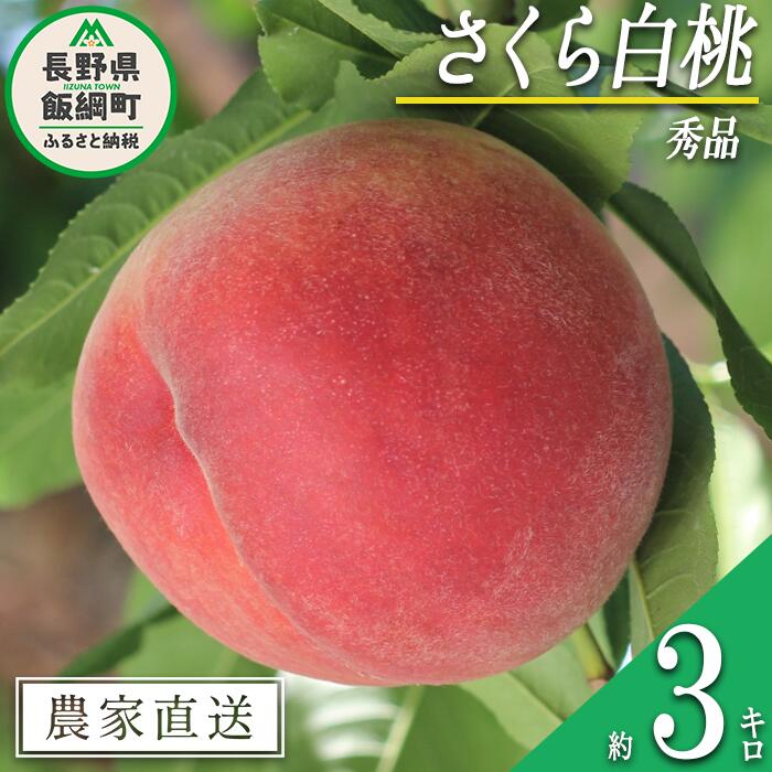 【ふるさと納税】 もも 完熟 さくら白桃 秀品 3kg サイ