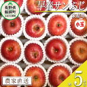  りんご 蔵出し 早春 サンふじ 家庭用 ( 小玉 ) 5kg 井澤農園 沖縄県への配送不可 令和6年度収穫分 エコファーマー認定 長野県 飯綱町 〔 信州 果物 フルーツ リンゴ 林檎 長野 13000円 予約 農家直送 〕発送時期：2025年3月上旬～2025年4月上旬 {**}