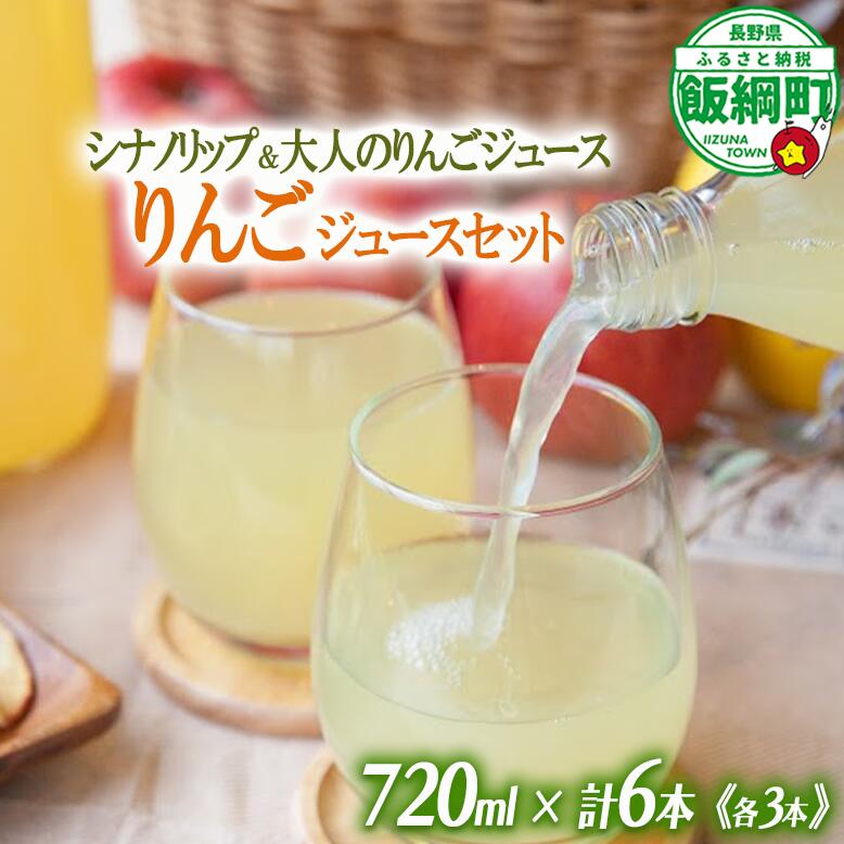 林檎ジュース 2種 × 各3本 果汁100% 井澤農園 沖縄県への配送不可 エコファーマー認定 長野県 飯綱町 〔 飲料 果汁飲料 りんご リンゴ 林檎 ジュース 信州 15000円 〕