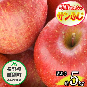 【ふるさと納税】【令和4年度収穫分】 サンふじ 訳あり 5kg 町田さんちのりんご 長野県 飯綱町 【 傷 不揃い りんご リンゴ 林檎 果物 フルーツ 信州 長野 】 発送：2022年12月上旬〜 {*}