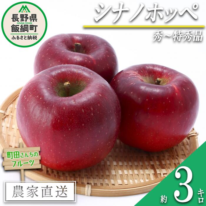 【ふるさと納税】 りんご シナノホッペ 秀 〜 特秀 3kg 長野県 飯綱町 〔 リンゴ 林檎 果物 フルーツ 信州 長野 12000円 予約 農家直送 〕発送期間:2025年11月上旬〜2025年12月上旬{***}