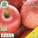 【ふるさと納税】 りんご サンふじ 訳あり 5kg 町田さんちのりんご 長野県 飯綱町 〔 傷 不揃 ...