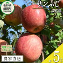 【ふるさと納税】 りんご サンふじ 家庭用 5kg 町田さん
