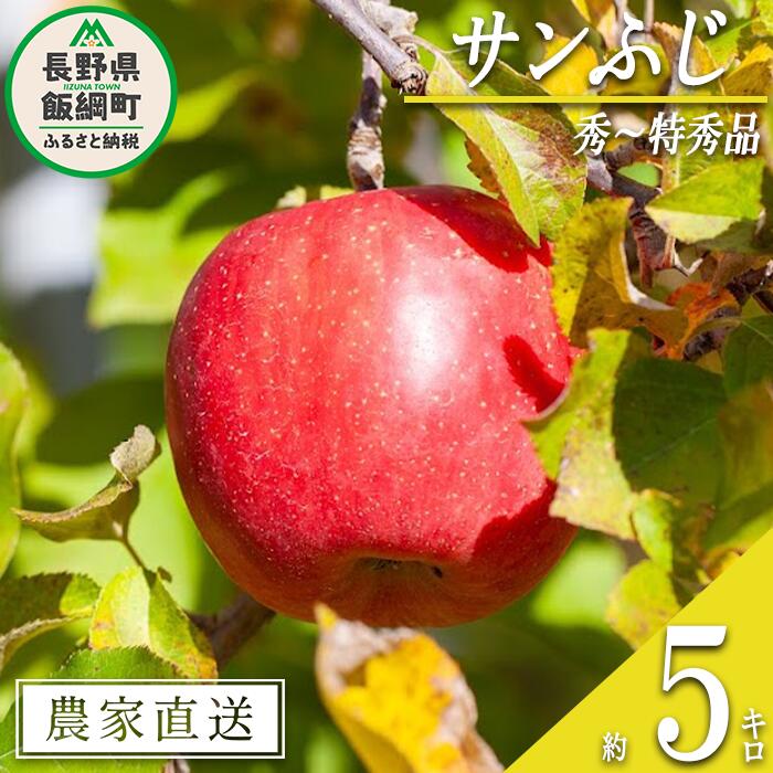 りんご サンふじ 秀 〜 特秀 5kg 松澤農園 沖縄県への配送不可 令和6年度収穫分 長野県 飯綱町 〔 信州 果物 フルーツ リンゴ 林檎 長野 16000円 予約 農家直送 〕発送時期:2024年11月下旬〜2025年1月下旬 {***}