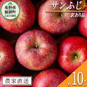 20位! 口コミ数「12件」評価「3.83」 りんご サンふじ 訳あり 10kg 松澤農園 沖縄県への配送不可 令和6年度収穫分 長野県 飯綱町 〔 傷 不揃い わけあり リンゴ 林檎･･･ 