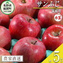  りんご サンふじ ( 小玉 ) 家庭用 5kg 松澤農園 沖縄県への配送不可 令和6年度収穫分 長野県 飯綱町 〔 信州 フルーツ 果物 リンゴ 林檎 長野 11000円 予約 農家直送 〕発送時期：2024年11月下旬～2025年2月上旬 {**}