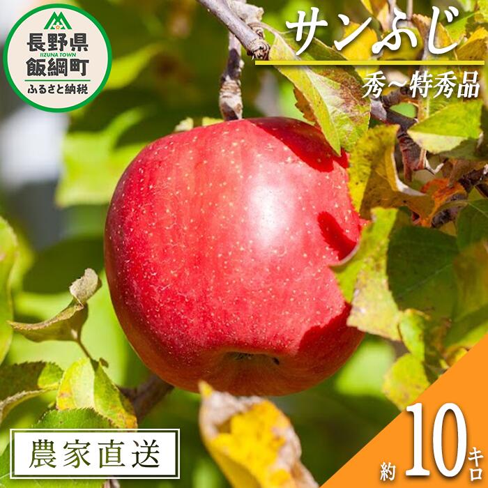 りんご サンふじ 秀 〜 特秀 10kg 松澤農園 令和6年度収穫分 長野県 飯綱町 〔 信州 果物 フルーツ リンゴ 林檎 長野 予約 農家直送 〕発送時期:2024年11月下旬〜2025年1月下旬 {***}