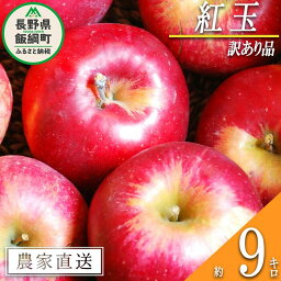 【ふるさと納税】 りんご 紅玉 訳あり 9kg 松澤農園 沖縄県への配送不可 令和6年度収穫分 長野県 飯綱町 〔 傷 不揃い わけあり リンゴ 林檎 果物 フルーツ 信州 長野 17000円 予約 農家直送 〕発送時期：2024年9月下旬～2024年10月上旬 {*}