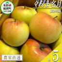 【ふるさと納税】 りんご ぐんま名月 訳あり 5kg 松澤農園 沖縄県への配送不可 令和7年度収穫分 長野県 飯綱町 〔 傷 不揃い わけあり リンゴ 林檎 果物 フルーツ 信州 長野 12000円 予約 農家直送 〕発送時期:2025年11月下旬~2026年1月上旬 {*}
