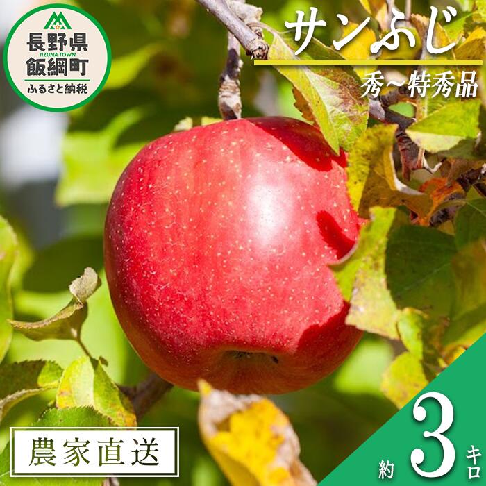 りんご サンふじ 秀 〜 特秀 3kg 松澤農園 沖縄県への配送不可 令和6年度収穫分 長野県 飯綱町 〔 信州 果物 フルーツ リンゴ 林檎 長野 12000円 予約 農家直送 〕発送時期:2024年11月下旬〜2025年1月下旬 {***}