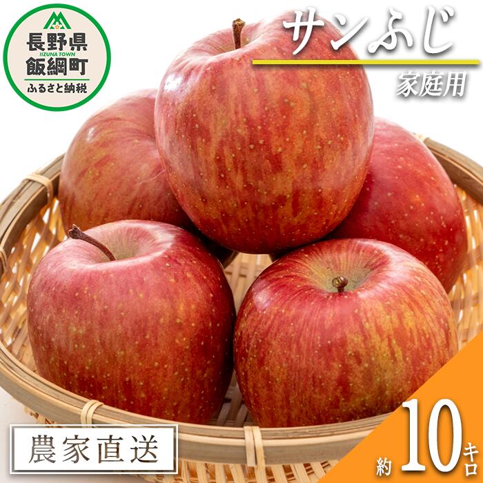 【ふるさと納税】 りんご サンふじ 贅沢な家庭用 10kg 