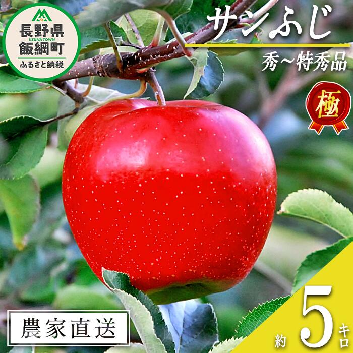 【ふるさと納税】 りんご 極み サンふじ 5kg こだわりの土作り 松澤農園 令和7年度収穫分 長野県 飯綱町 〔 信州 フルーツ 果物 リンゴ 林檎 長野 25000円 予約 農家直送 〕発送時期:2025年11月下旬〜2026年1月下旬 {***}