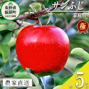 名称 りんご（極みサンふじ） 内容量 家庭用　5kg 産地 長野県飯綱町産 配送方法 常温 事業者名 松澤農園 発送時期 2024年11月下旬頃から2025年1月下旬頃までお申込み順に発送予定 備考 ※沖縄県への配送はいたしかねます。 ※発送時期は、例年の発送時期を目安に記載しております。 　その年の天候や生育状況により、予告なくお届け時期が前後する場合がありますがご了承ください。 ※りんごの個体差や水分量などにより、表示されている商品規格より1割程度、内容量が少なくなることがありますのでご了承ください。 ※りんごは果汁の多い果実のため、外観上は鮮度が保たれていても、稀に果肉内部に褐変症状が出てしまう場合がございます。 　外見から見分けることが難しい症状のため、あらかじめご了承ください。 ※生ものですので冷蔵庫にて保存のうえ、お早めにお召し上がりください。 ※収穫時期が限られているため、日時指定はお受けいたしかねます。 ※画像はイメージです。 ・ふるさと納税よくある質問はこちら ・寄附申込みのキャンセル、返礼品の変更・返品はできません。あらかじめご了承ください。【ふるさと納税】 りんご 極み サンふじ 家庭用 5kg こだわりの土作り 松澤農園 沖縄県への配送不可 令和6年度収穫分 長野県 飯綱町 【 信州 フルーツ 果物 リンゴ 林檎 長野 17000円 】発送時期：2024年11月下旬〜2025年1月下旬 {**} 事業者からのコメント サンふじは果汁が豊富なうえ味のバランスが良く甘みと香りがしっかりとしています。 歯ごたえもシャキシャキと心地よく人気が高いりんごです。 極みサンふじは、土作りにこだわり、環境と樹木に優しい独自に考えた肥料を使用したりんごです。 芳醇な香りと、りんご本来のフルーティーな味わいがお楽しみ頂ける一品です。 なお、家庭用は傷や変形・サビなどがありますが、美味しくお召し上がりいただけます。 松澤農園は長野県北部の自然いっぱいの空気が美味しい飯綱町の果樹農家です。 お客様との出会いを大切に、まごころこめて梨・りんごをお届けしております。 当農園は除草剤は使用せず、自然の力を活かした栽培を心がけております。 早採りはせずに、完熟した美味しいりんごをみなさまにお届けしています。 ・ふるさと納税よくある質問はこちら ・寄附申込みのキャンセル、返礼品の変更・返品はできません。寄附者の都合で返礼品が届けられなかった場合、返礼品等の再送はいたしません。あらかじめご了承ください。 ・この商品はふるさと納税の返礼品です。スマートフォンでは「買い物かごに入れる」と表記されておりますが、寄附申込みとなりますのでご了承ください。