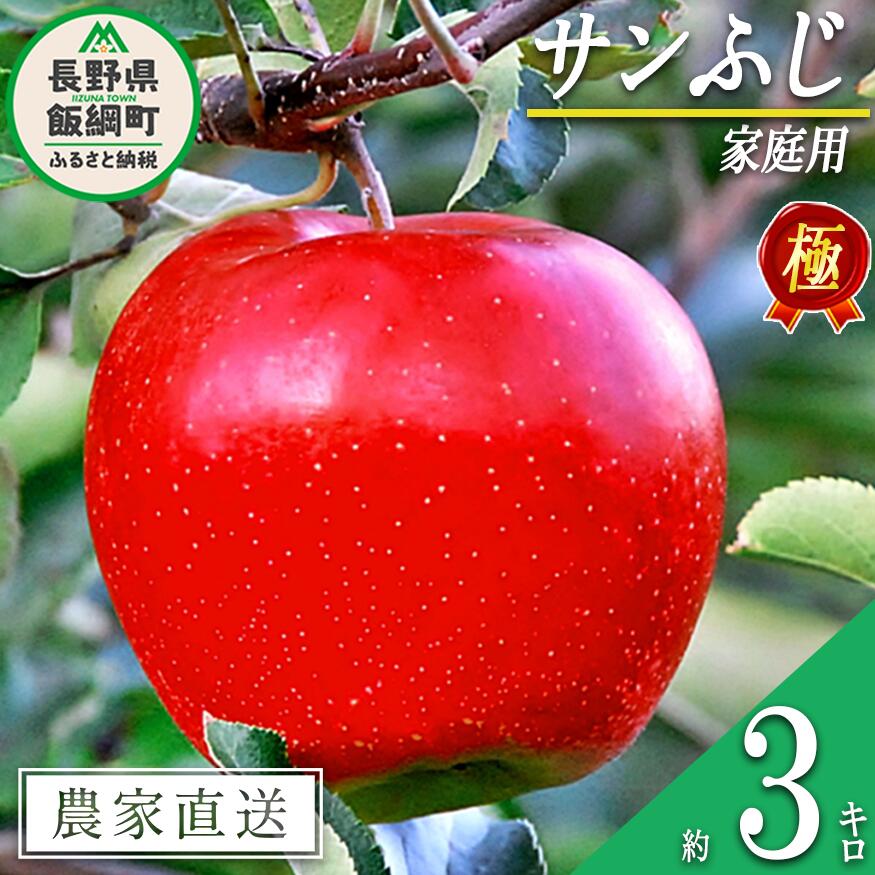 【ふるさと納税】りんご 極みサンふじ 3kg 家庭用 松澤農