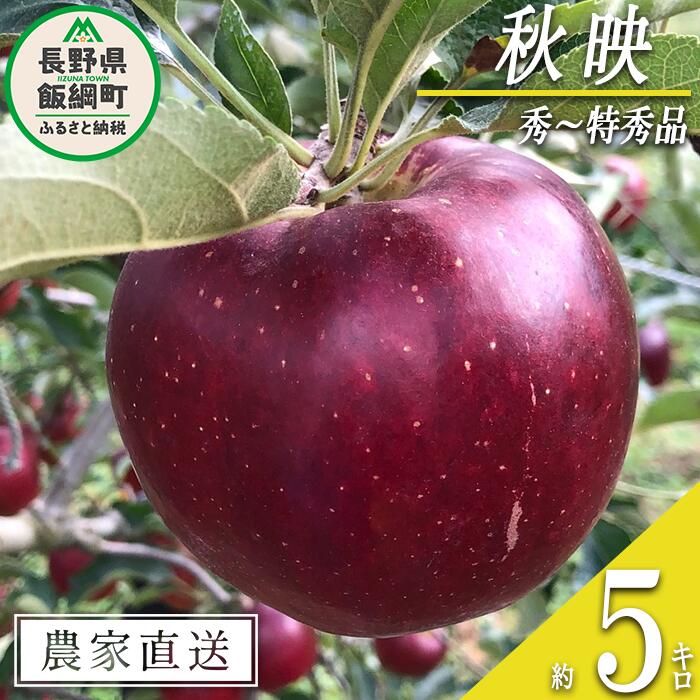 【ふるさと納税】 りんご 秋映 秀 ～ 特秀 5kg 丸西農