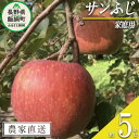 【ふるさと納税】 りんご サンふじ 家庭用 5kg 丸西農園 沖縄県への配送不可 令和6年度収穫分 特別栽培農産物 ( 除草剤 化学肥料 不使..