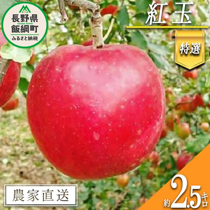 【ふるさと納税】 りんご 紅玉 特選 2.5kg やまじゅうファーム 沖縄県への配送不可 令和6年度収穫分 信州の環境にやさしい農産物 減農薬栽培 長野県 飯綱町 〔 信州 果物 フルーツ リンゴ 林檎 長野 14000円 予約 農家直送 〕発送時期：2024年10月上旬～2024年10月中旬{***}