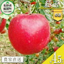 【ふるさと納税】 りんご 紅玉 特選 4.5kg やまじゅうファーム 沖縄県への配送不可 令和6年度収穫分 信州の環境にやさしい農産物 減農..