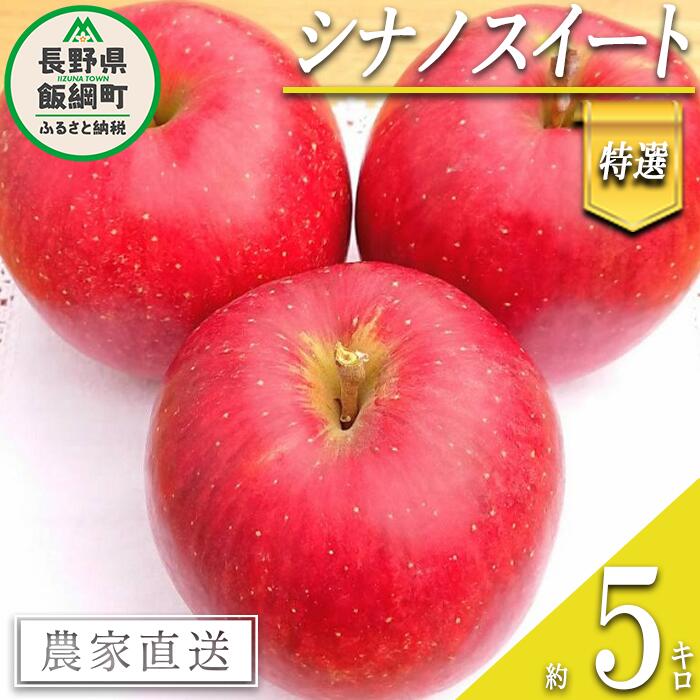 りんご シナノスイート 特選 5kg やまじゅうファーム 沖縄県への配送不可 令和6年度収穫分 信州の環境にやさしい農産物 減農薬栽培 長野県 飯綱町 [ 信州 果物 フルーツ リンゴ 林檎 長野 18000円 ]発送時期:2024年10月中旬〜2024年10月下旬{***}