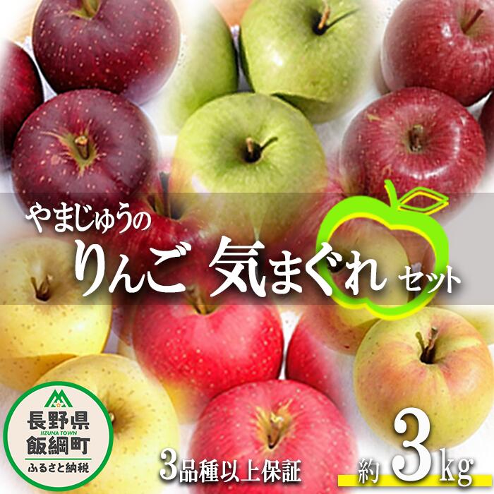 りんご 3品種以上保証 気まぐれセット 3kg 詰め合わせ セット やまじゅうファーム 沖縄県への配送不可 令和6年度収穫分 環境にやさしい 減農薬栽培 長野県 飯綱町 [ 信州 果物 フルーツ リンゴ 林檎 長野 ]発送時期:2024年11月中旬〜2024年12月下旬