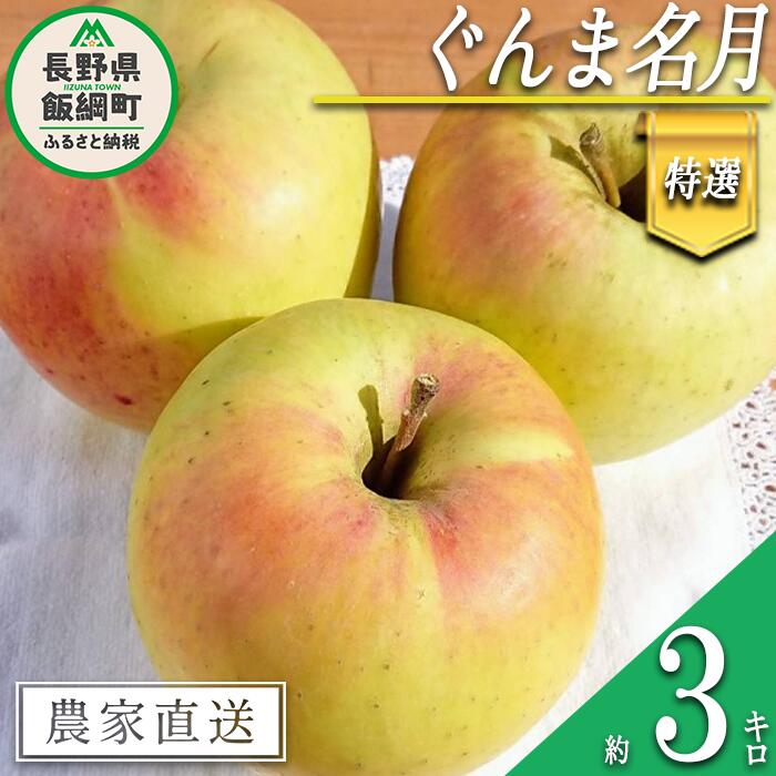 りんご ぐんま名月 特選 3kg やまじゅうファーム 沖縄県への配送不可 令和6年度収穫分 信州の環境にやさしい農産物 減農薬栽培 長野県 飯綱町 [ 信州 果物 フルーツ リンゴ 林檎 長野 15000円 ]発送時期:2024年11月下旬〜2024年12月上旬{***}