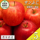 名称 りんご（サンふじ） 内容量 家庭用〜秀　5kg 産地 長野県飯綱町産 配送方法 常温 事業者名 やまじゅうファーム 発送時期 2024年11月下旬頃から2024年12月中旬頃までお申込み順に発送予定 備考 ※沖縄県への配送はいたしかねます。 ※発送時期は、例年の発送時期を目安に記載しております。 　その年の天候や生育状況により、予告なくお届け時期が前後する場合がありますがご了承ください。 ※りんごの個体差や水分量などにより、表示されている商品規格より1割程度、内容量が少なくなることがありますのでご了承ください。 ※りんごは果汁の多い果実のため、外観上は鮮度が保たれていても、稀に果肉内部に褐変症状が出てしまう場合がございます。 　外見から見分けることが難しい症状のため、あらかじめご了承ください。 ※生ものですので冷蔵庫にて保存のうえ、お早めにお召し上がりください。 ※収穫時期が限られているため、日時指定はお受けいたしかねます。 ※画像はイメージです。 ・ふるさと納税よくある質問はこちら ・寄附申込みのキャンセル、返礼品の変更・返品はできません。あらかじめご了承ください。【ふるさと納税】 りんご サンふじ 家庭用 〜 秀 5kg やまじゅうファーム 沖縄県への配送不可 令和6年度収穫分 信州の環境にやさしい農産物 減農薬栽培 長野県 飯綱町 【 信州 果物 フルーツ リンゴ 林檎 長野 】発送時期：2024年11月下旬〜2024年12月中旬{**} 事業者からのコメント サンふじは、果汁が豊富で味のバランスが良く、甘味と香りはしっかりとしているのが特徴です。 歯触りもシャキシャキと心地よく人気が高いリンゴです。 なお、家庭用りんごは傷や変形、サビなどありますが、美味しくお召し上がりいただけます。 味はもちろん、見た目もより良いりんごを目指し、春の開花時期には人工授粉を行っております。 早取りはせず、完熟のおいしいタイミングで収穫しています。 皮の近くに栄養成分が多くあるので、ぜひ皮も一緒に召し上がってみてください。 スターカット（輪切り）は皮つきでも食べやすく、食べられないのは芯のみなので、生ごみも減ってエコです！ 長野県北部にある飯綱町は、標高・気候・土壌ともにりんご栽培に適した土地です。 北信五岳と呼ばれる飯縄(綱)山・戸隠山・黒姫山・斑尾山・妙高山を見渡せる、とても素晴らしいロケーションの町です。 やまじゅうファームはりんご栽培を始めて70年以上が経ちました。 ”安心・安全・おいしい”りんごをお届けするため、家族・従業員みんなで日々りんごと向き合っています。 おいしいりんごづくりは土作りから始まります。当園では有機肥料のみを使用しています。 農薬は県の基準の半分以下に抑えた特別栽培で、信州の環境にやさしい農産物（50-50）の認定を受けています。（認定番号：00093） 病害虫の発生状況を見て必要な農薬を散布しています。 また、除草剤は一切使用せず、草刈機で行っています。 ・ふるさと納税よくある質問はこちら ・寄附申込みのキャンセル、返礼品の変更・返品はできません。寄附者の都合で返礼品が届けられなかった場合、返礼品等の再送はいたしません。あらかじめご了承ください。 ・この商品はふるさと納税の返礼品です。スマートフォンでは「買い物かごに入れる」と表記されておりますが、寄附申込みとなりますのでご了承ください。