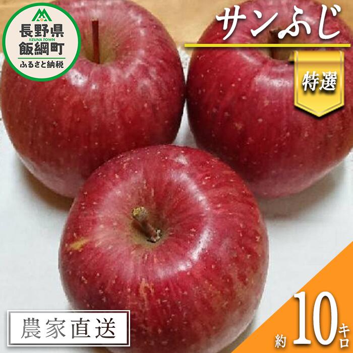 【ふるさと納税】 りんご サンふじ 特選 10kg やまじゅうファーム 令和6年度収穫分 信州の環境にやさ...