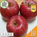 【ふるさと納税】 りんご サンふじ 特選 10kg やまじゅ