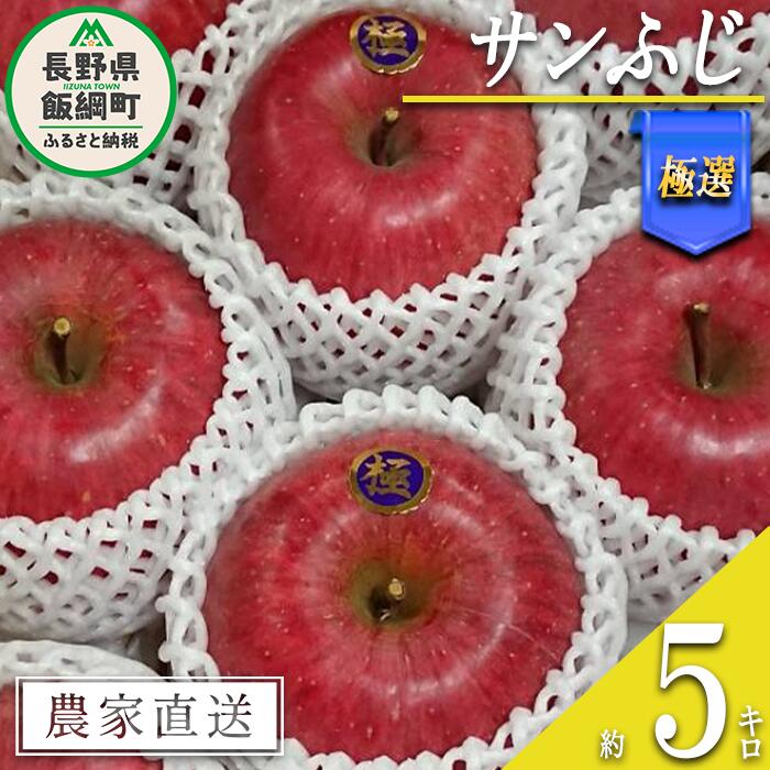 【ふるさと納税】 りんご サンふじ 極選 5kg やまじゅう