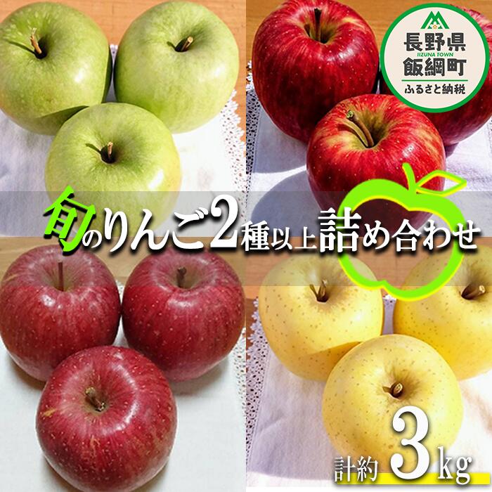 【ふるさと納税】りんご 旬の2品種以上 3kg 等級なし や