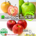 【ふるさと納税】 酸っぱいりんご定期便3便 約3kg × 3回 家庭用 やまじゅうファーム 沖縄県への配送不可 〔 果物 フルーツ 林檎 長野 予約 農家直送 3キロ 定期便 〕【令和7年度収穫分】 発送:2025年10月上旬~