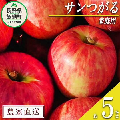 りんご サンつがる 家庭用 5kg ファームたんぽぽ 沖縄県への配送不可 令和6年度収穫分 長野県 飯綱町 〔 信州 果物 フルーツ リンゴ 林檎 長野 11000円 予約 農家直送 〕発送時期：2024年9月上旬～2024年9月中旬{**}