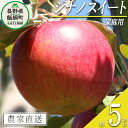 48位! 口コミ数「5件」評価「5」 りんご シナノスイート 家庭用 5kg ファームたんぽぽ 沖縄県への配送不可 令和6年度収穫分 長野県 飯綱町 〔 信州 果物 フルーツ ･･･ 