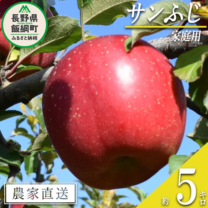 【ふるさと納税】 りんご サンふじ 家庭用 5kg ファーム